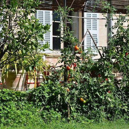 Les Passiflores Grasse Eksteriør billede