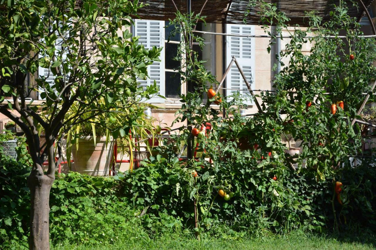 Les Passiflores Grasse Eksteriør billede